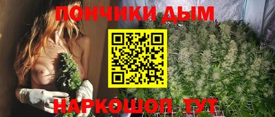 jwh Гатчина