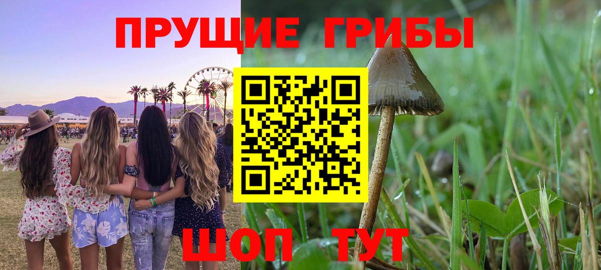 Галлюциногенные грибы прущие грибы Заречный