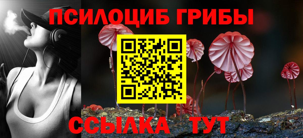 Заречный  Галлюциногенные грибы прущие грибы  Галлюциногенные грибы Magic Shrooms  Вход с VPN 